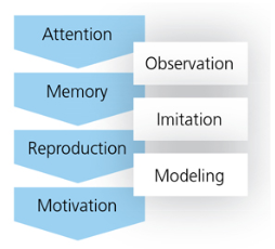 Imitation in discount social learning theory